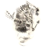 수목자