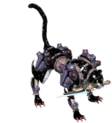 섀도우 쿠거
