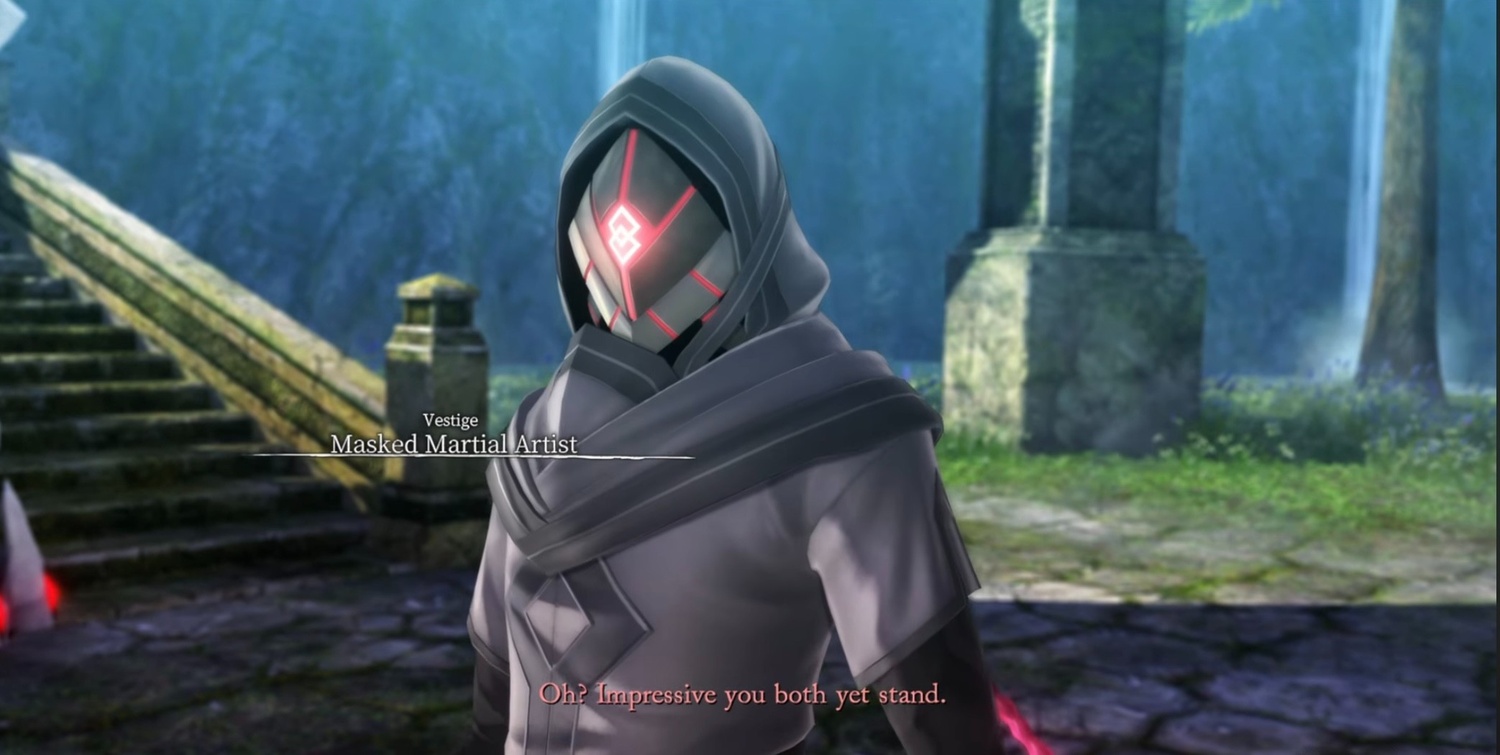 Masked Martial Artist