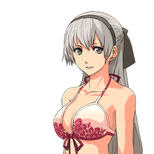 Elie's swimsuit bust shot