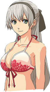 Swimsuit bust