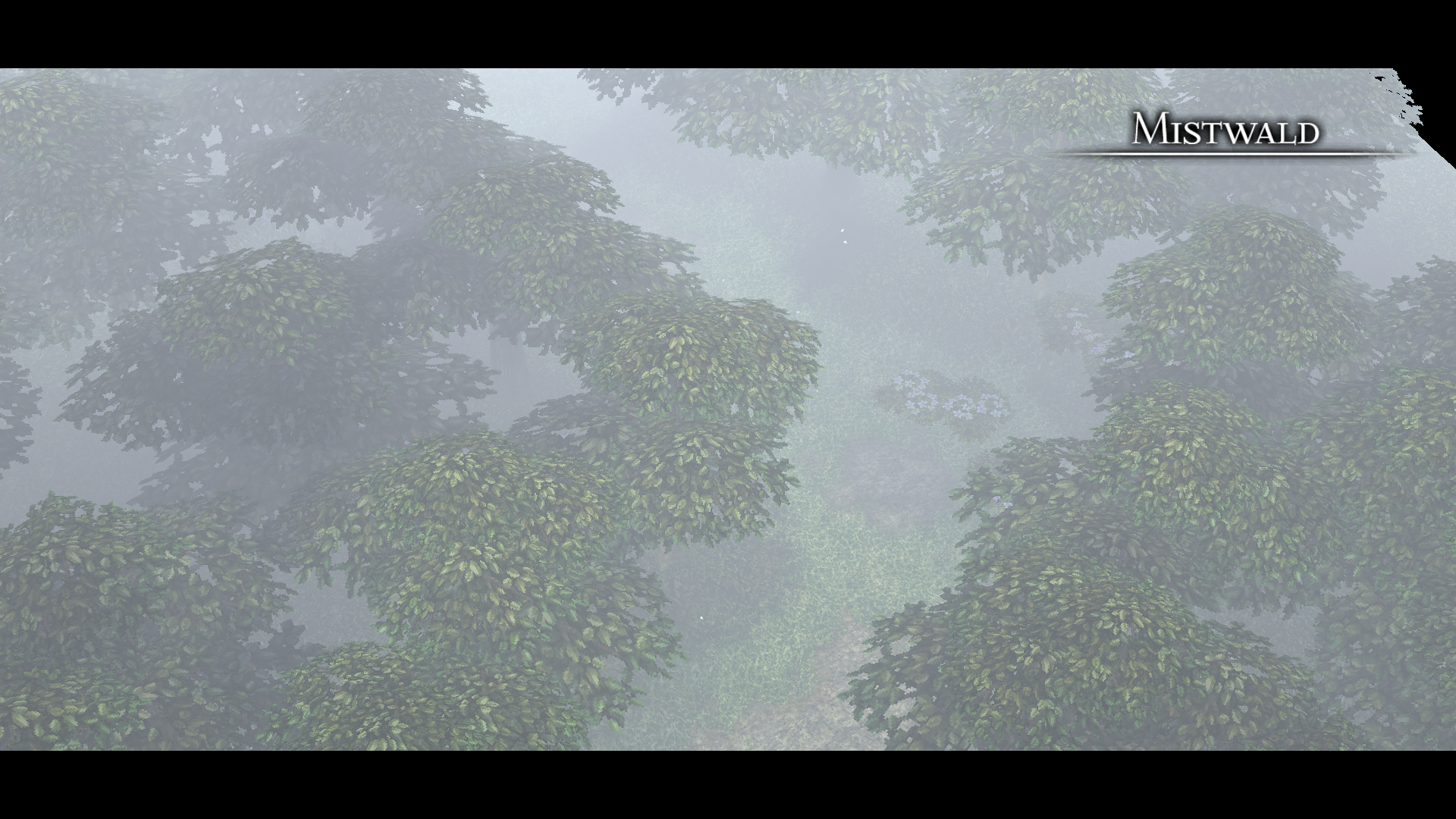 Mistwald during the Gospel experiment.