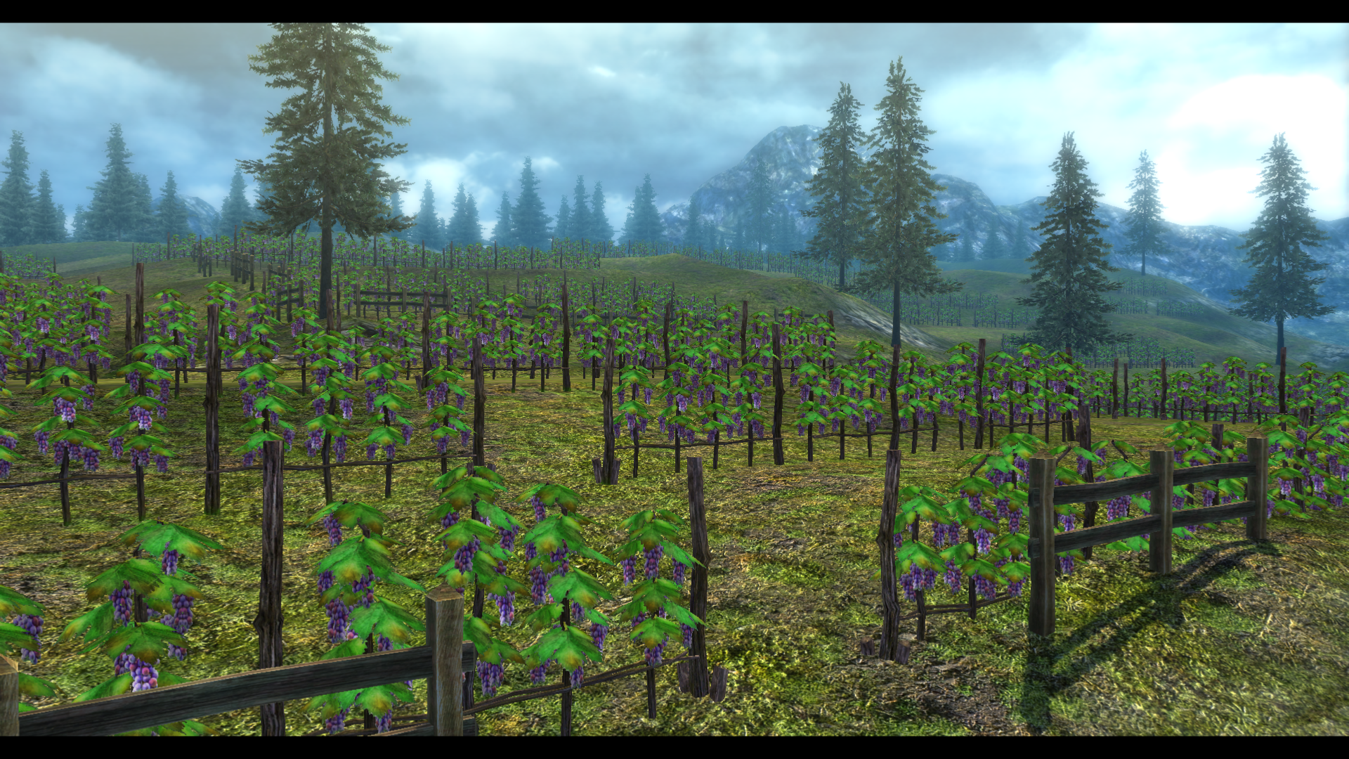 Scenic photo of the vineyards on the Old Lamare Road near Alster
