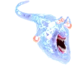 위스프