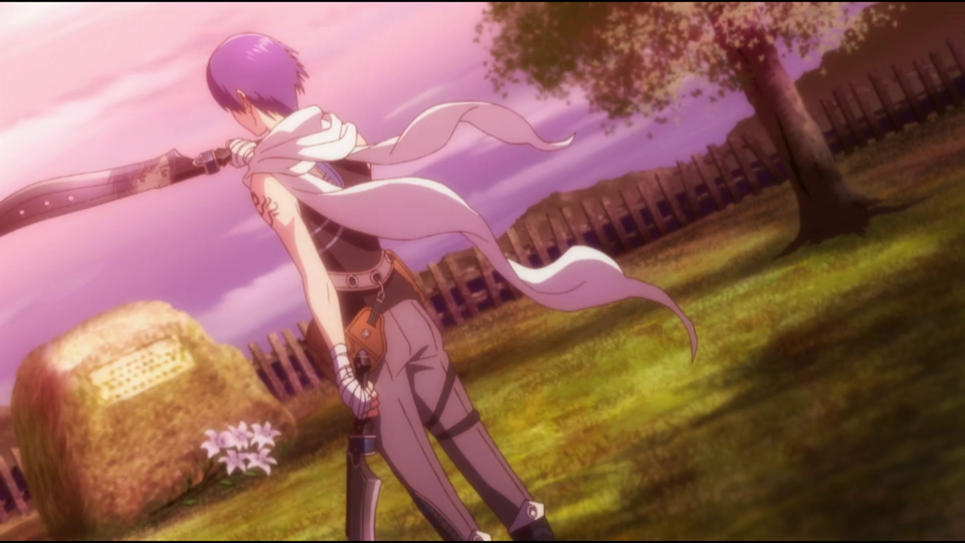 Opening screenshot (EVO)