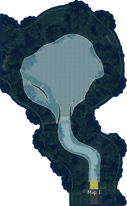 borderless