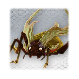 Ingot Beetle