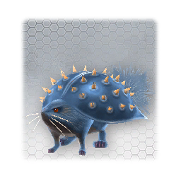 Needle Rat