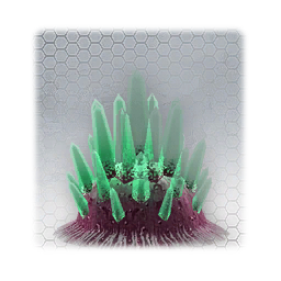 Crysnetic
