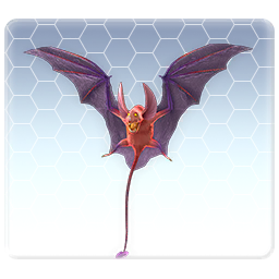 Vampire Bat