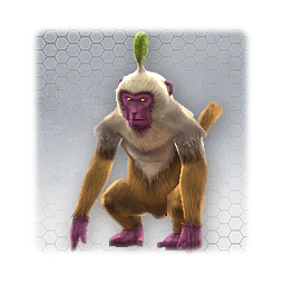 Bracken Monkey