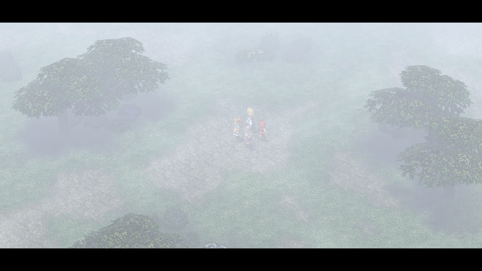 Mistwald during the Gospel experiment.