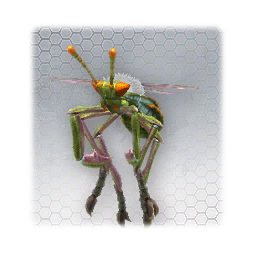 Greedy Mosquito