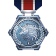 Silver PSN Trophy