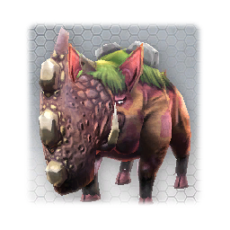 Enduranoceros