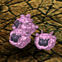 Violet poms