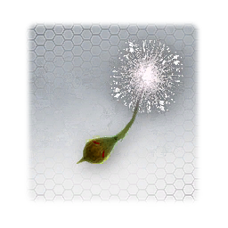 Deadly Dandelion